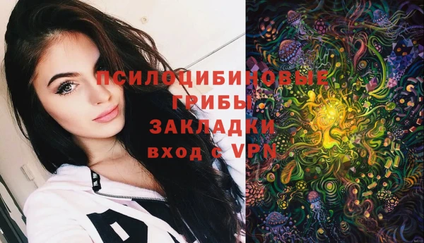 apvp Аркадак