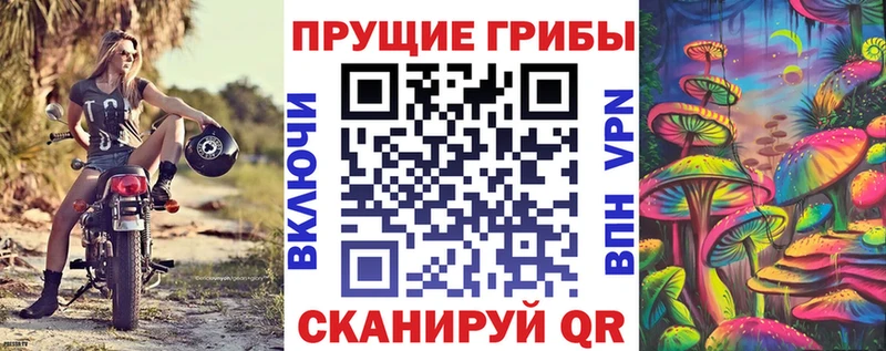 дарк нет телеграм  Печоры  Галлюциногенные грибы мицелий 